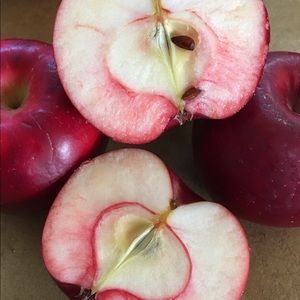 Meet your Posher, Maureen